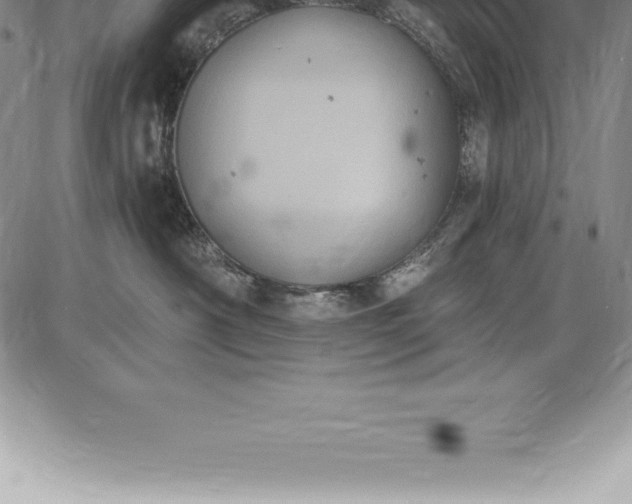 X0000085820430200703301558