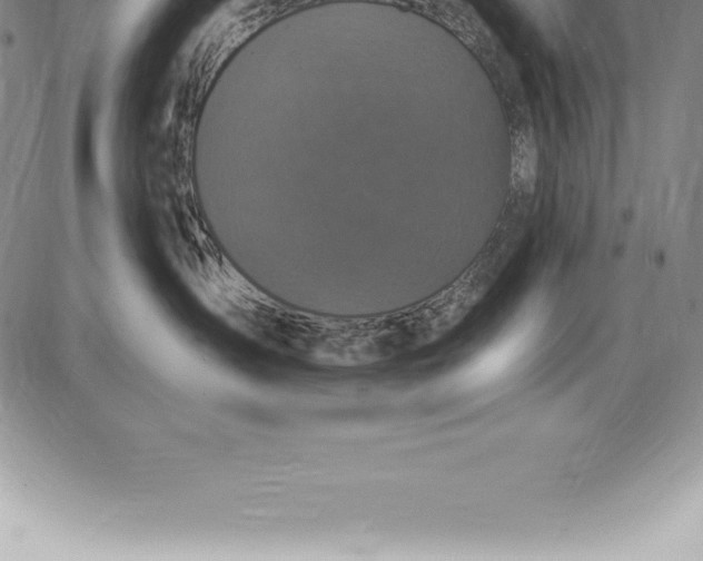 X0000085820431200703301558