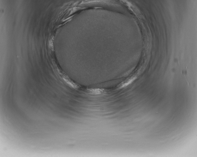 X0000085820432200703301558