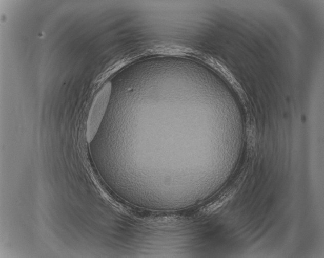 X0000085820433200703301557