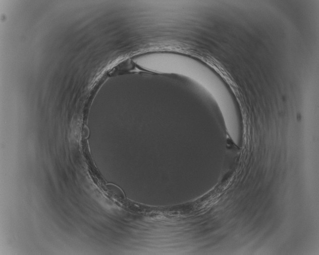 X0000085820434200703301557