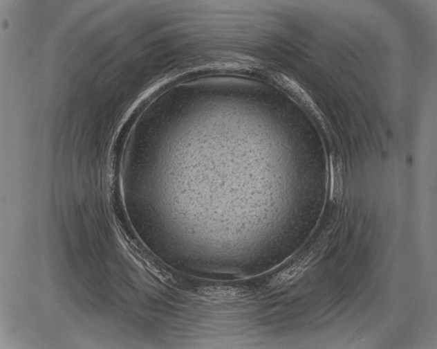 X0000085820435200703301557