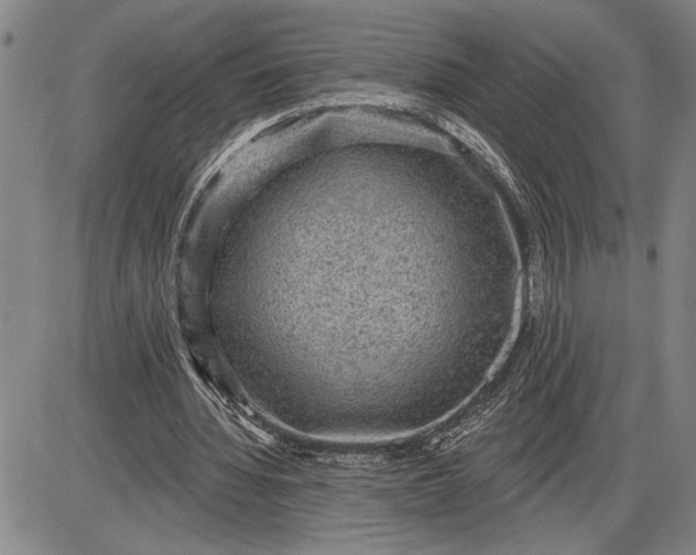 X0000085820436200703301557