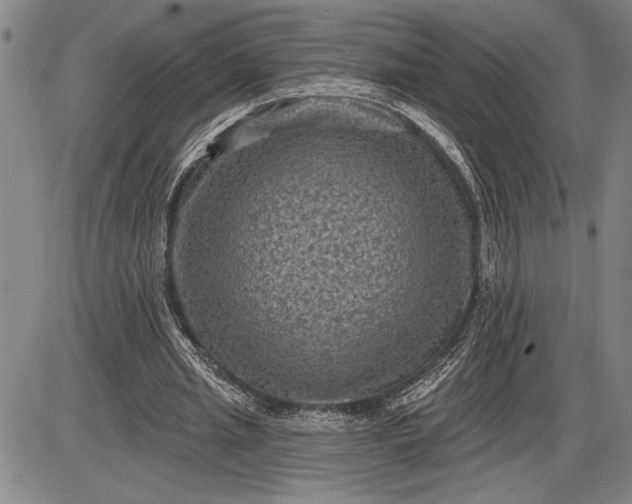 X0000085820437200703301557