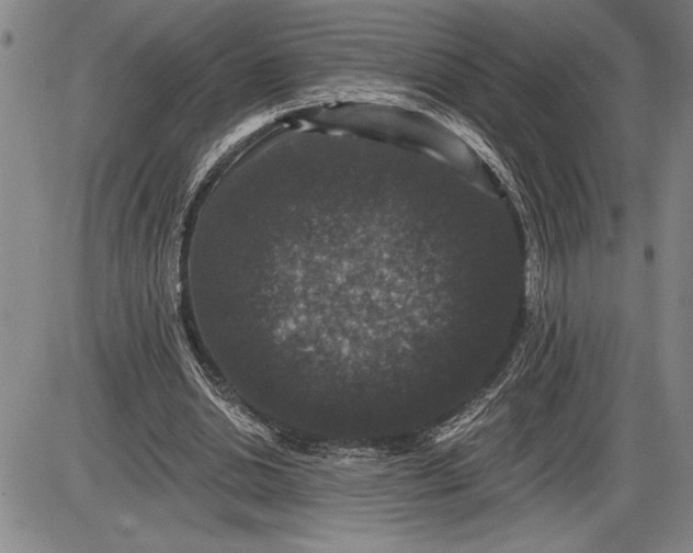 X0000085820438200703301557