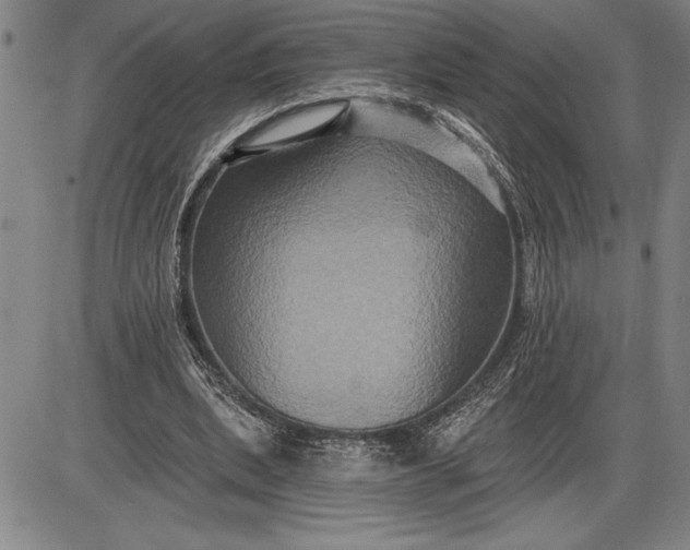 X0000085820439200703301557