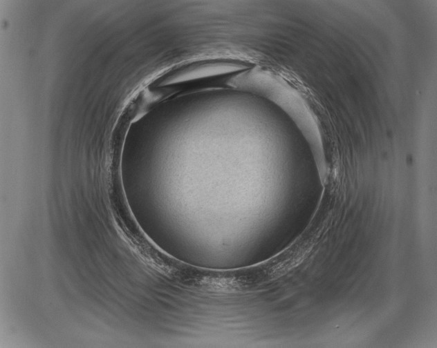 X0000085820440200703301557