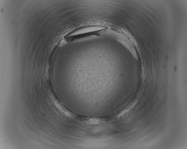 X0000085820441200703301557