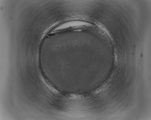 X0000085820442200703301557