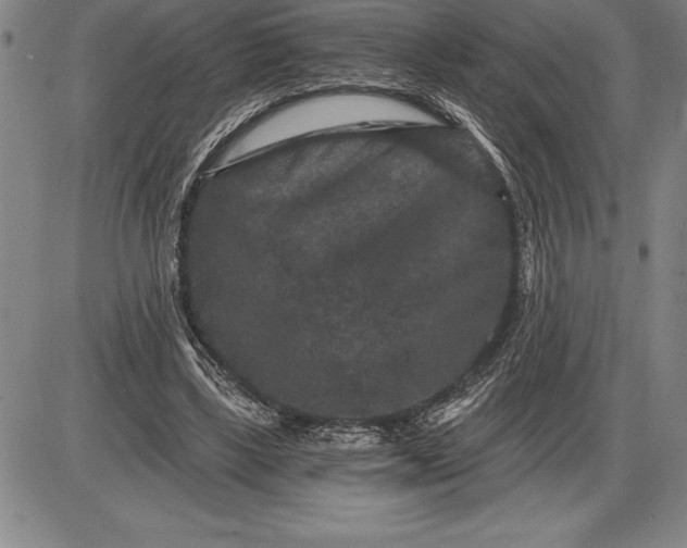 X0000085820443200703301557