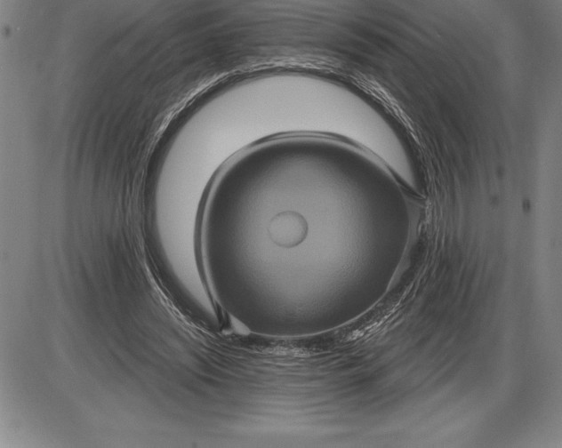 X0000085820444200703301557