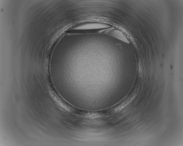 X0000085820445200703301557