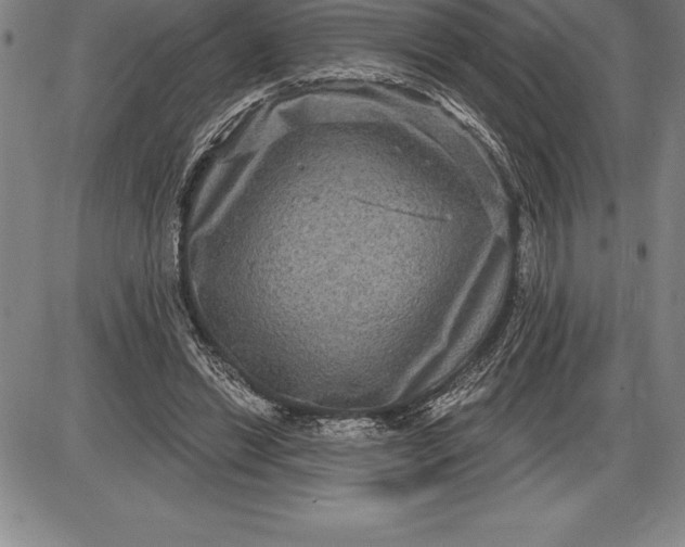 X0000085820446200703301557