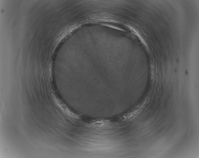 X0000085820447200703301557