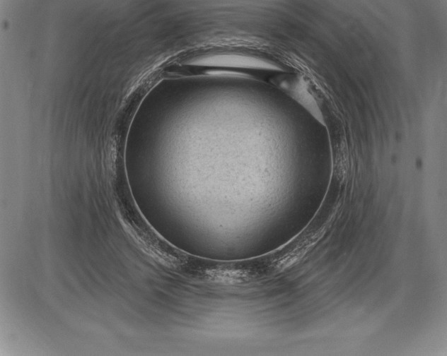 X0000085820448200703301557