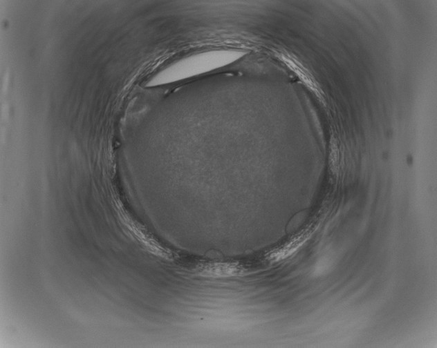 X0000085820449200703301557