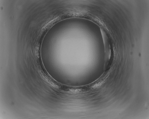 X0000085820450200703301557