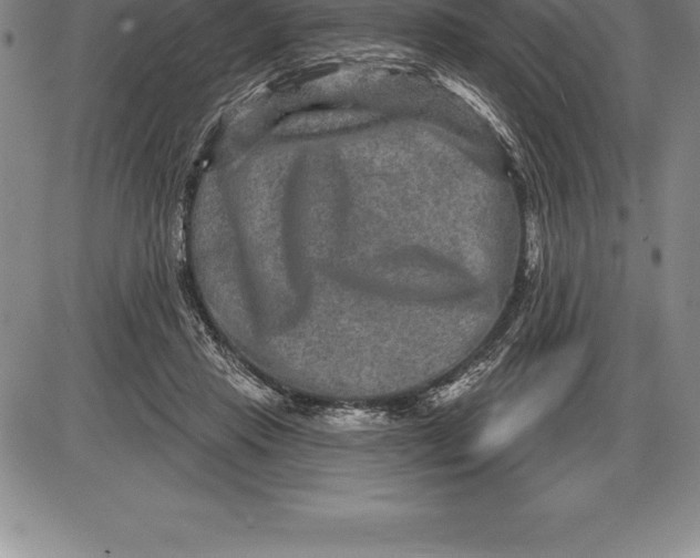 X0000085820453200703301558