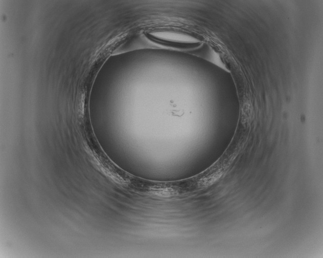 X0000085820454200703301558