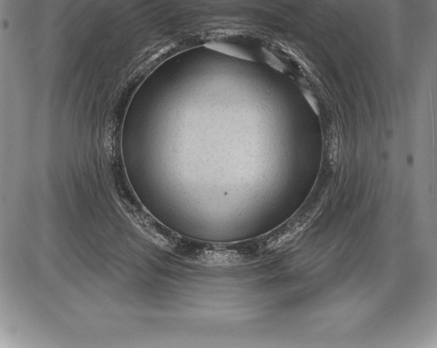 X0000085820455200703301558