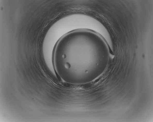 X0000085820456200703301558