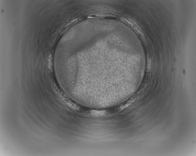 X0000085820457200703301558