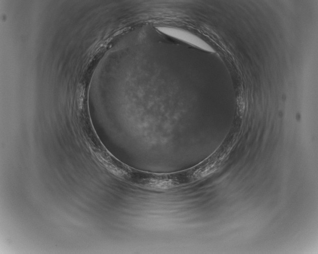 X0000085820458200703301558