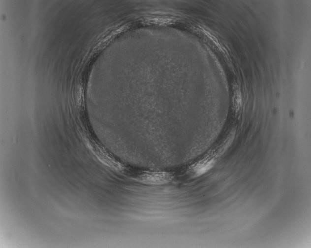 X0000085820459200703301558