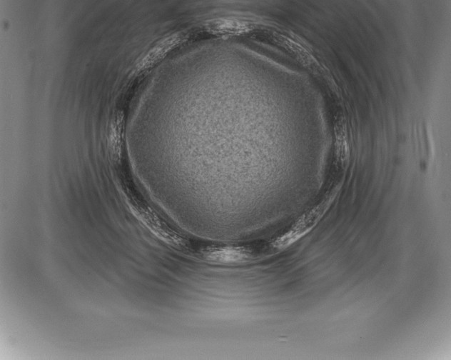 X0000085820460200703301558