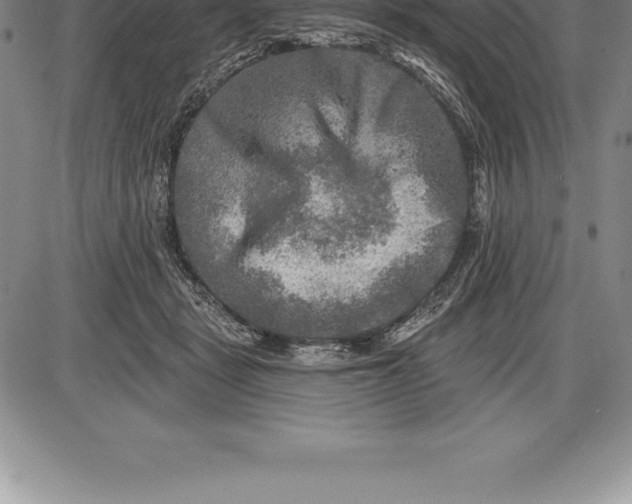 X0000085820461200703301558