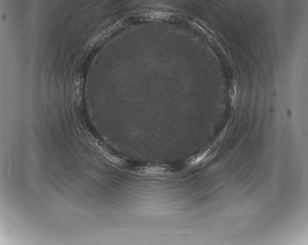 X0000085820462200703301558