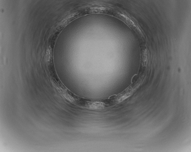 X0000085820463200703301558