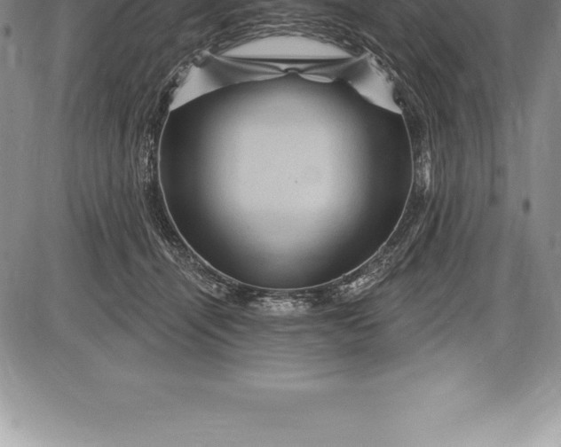 X0000085820464200703301558