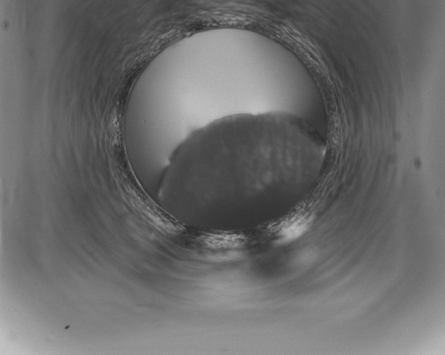 X0000085820465200703301558