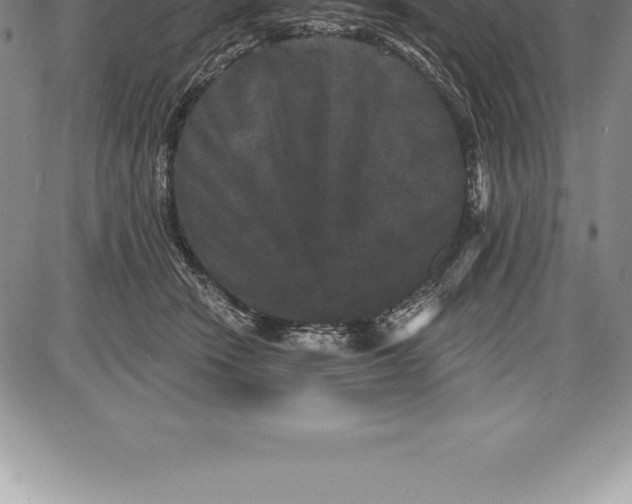 X0000085820466200703301558