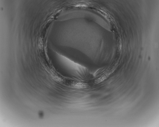 X0000085820467200703301558