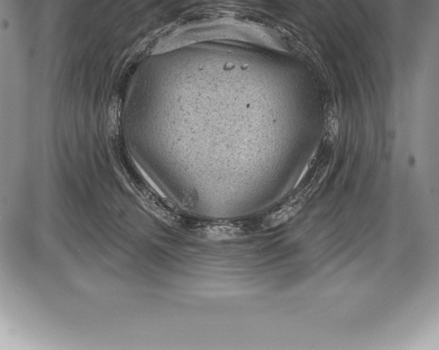 X0000085820468200703301558