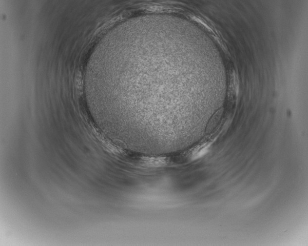 X0000085820469200703301558