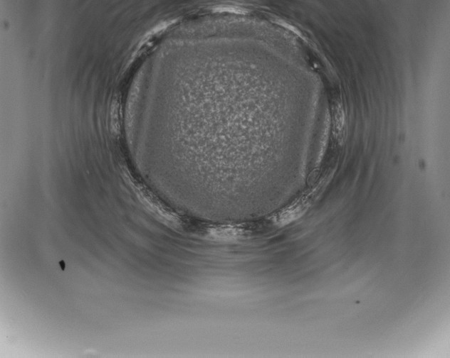 X0000085820470200703301558