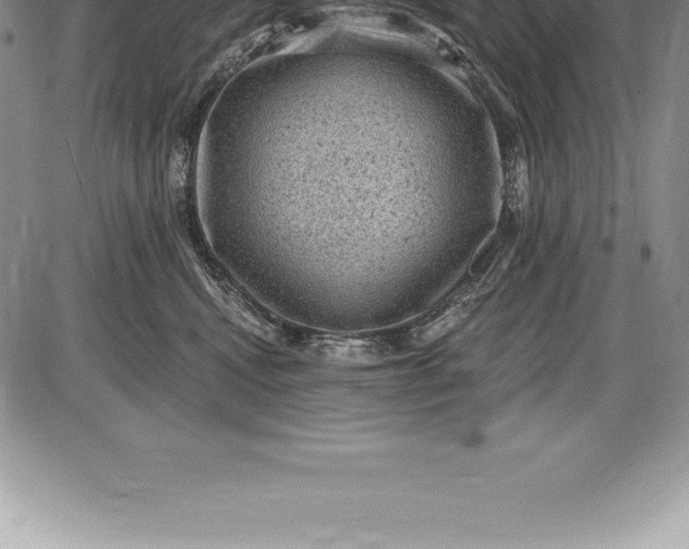 X0000085820472200703301558