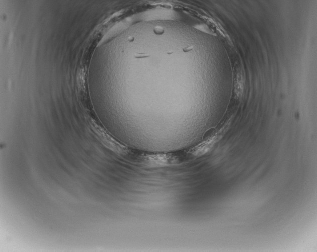 X0000085820473200703301558