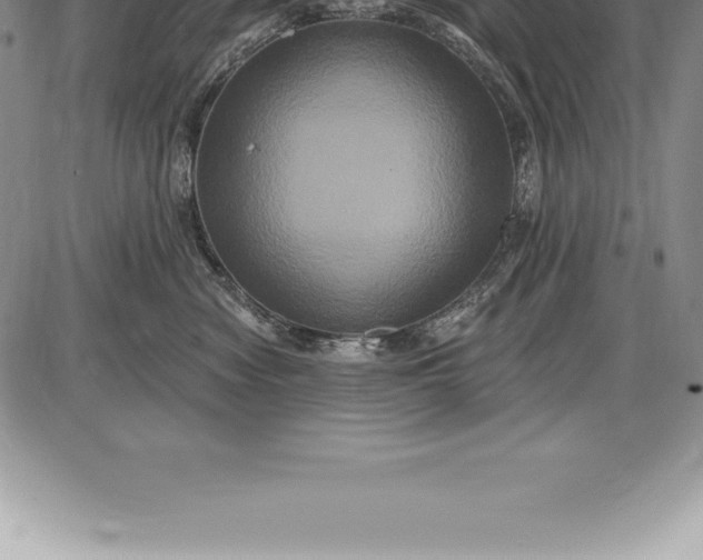 X0000085820474200703301558