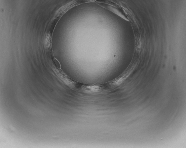 X0000085820478200703301558