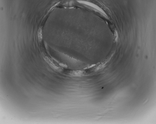 X0000085820479200703301558