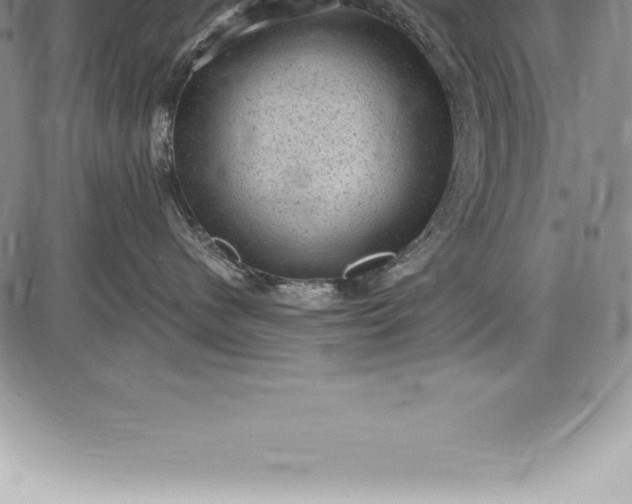 X0000085820480200703301558