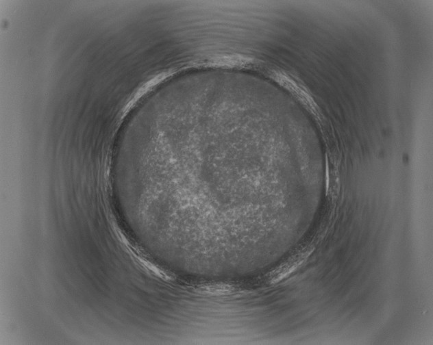 X0000085820483200703301557