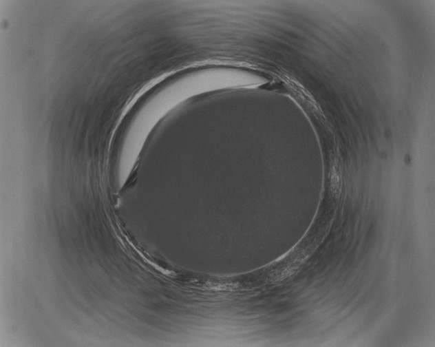 X0000085820484200703301557