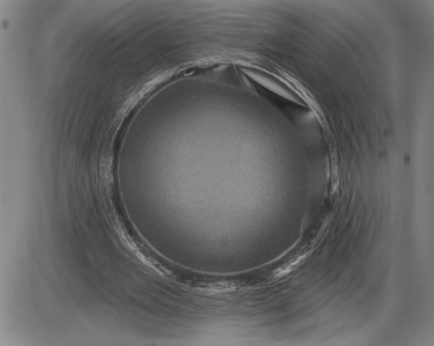 X0000085820485200703301557