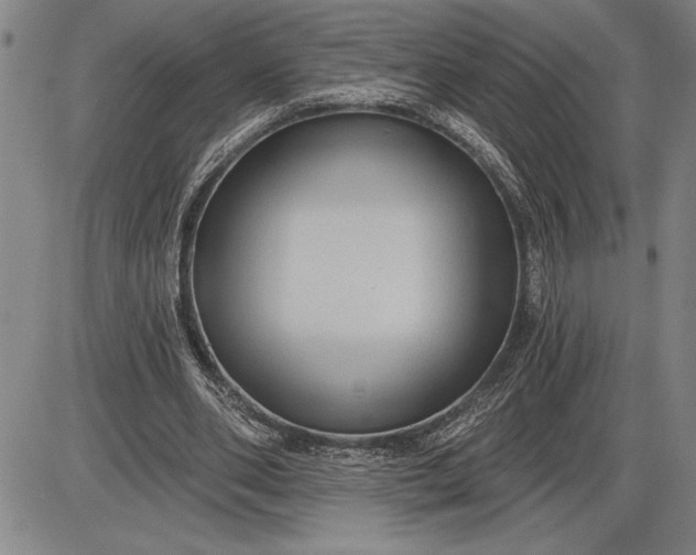 X0000085820486200703301557