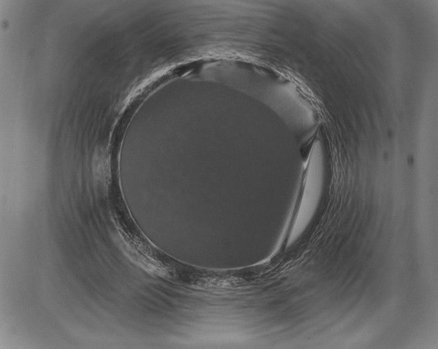 X0000085820488200703301557